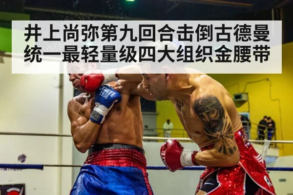 boxer knockout punch